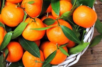 ส้มแมนดารินเพื่อสุขภาพ