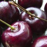 เชอร์รี่