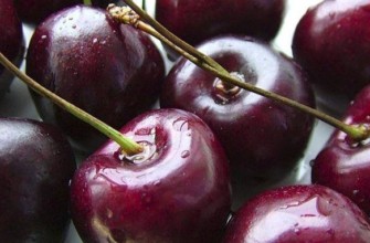 เชอร์รี่