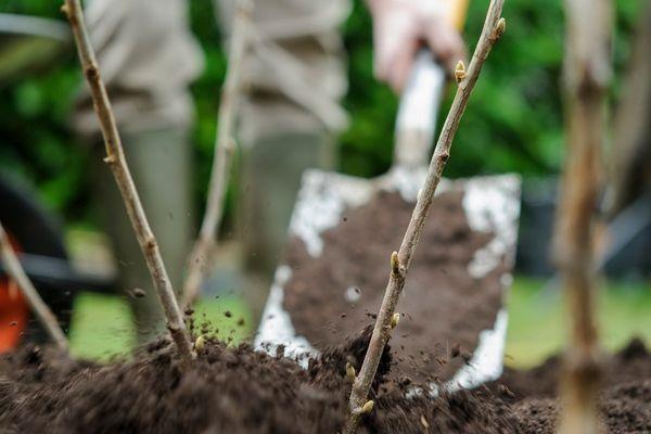 การคลายดิน