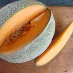 cantaloup
