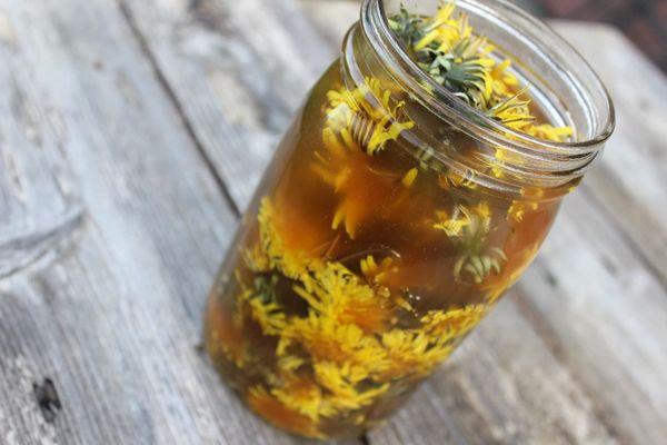 การแช่ดอกแดนดิไลออน