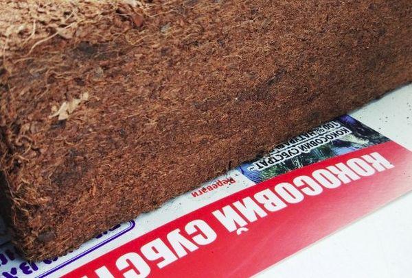 Substrat de noix de coco