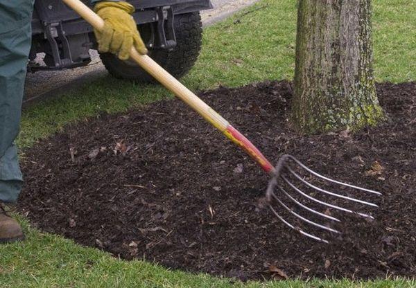 désherbage et ameublissement