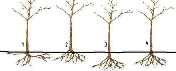 แผนการลงจอด