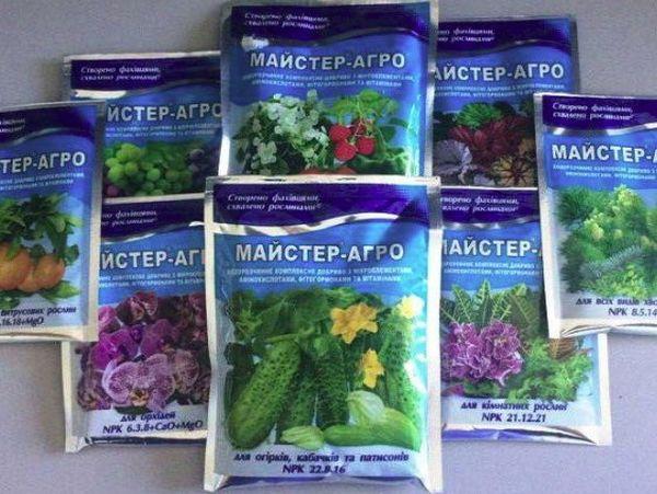 มาสเตอร์-อะโกร