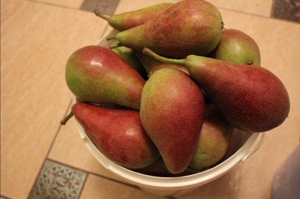 La beauté de Talgar