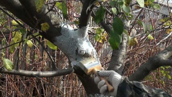 การเติมช่องว่าง