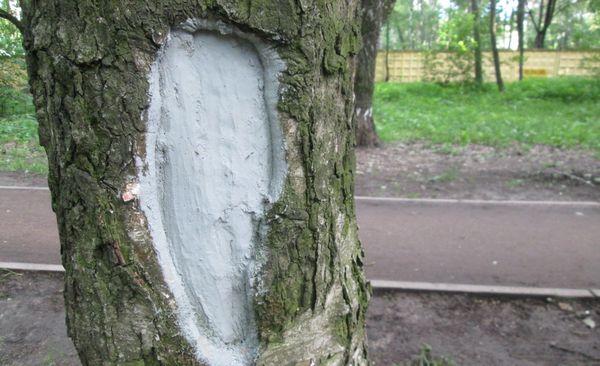 การฟอกขาวให้เป็นโพรง