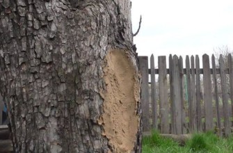 กลวงปิดผนึก