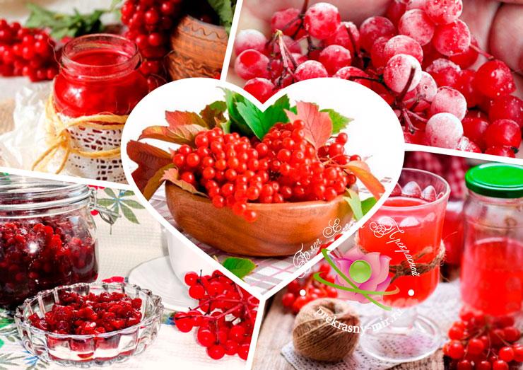 วิธีการจัดเก็บ