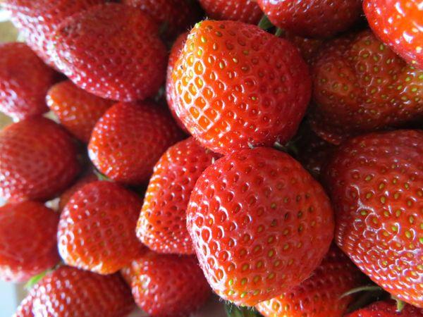 fraises mûres