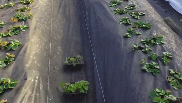 ที่พักพิงสำหรับฤดูหนาว