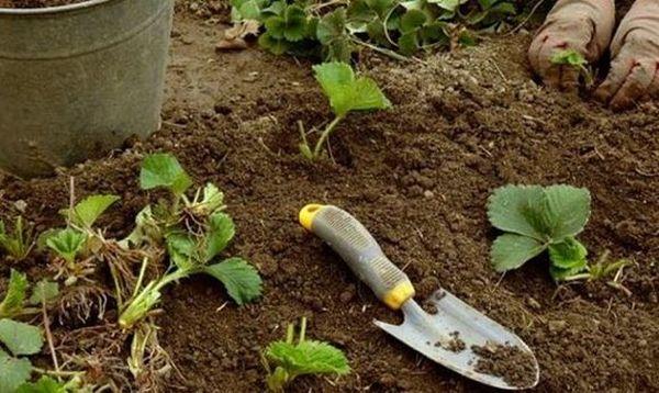 Règles d'atterrissage