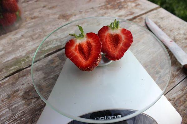 คำอธิบายพันธุ์สตรอว์เบอร์รี Solovushka คำแนะนำในการปลูกและการดูแล