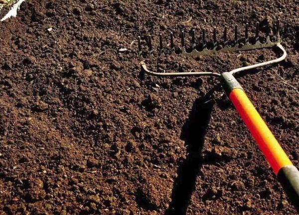 การเตรียมดิน