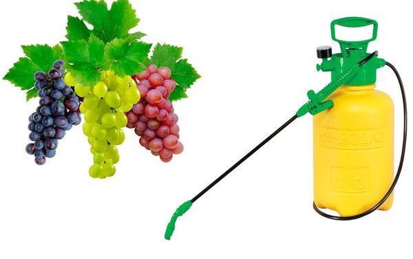 ภาชนะสเปรย์