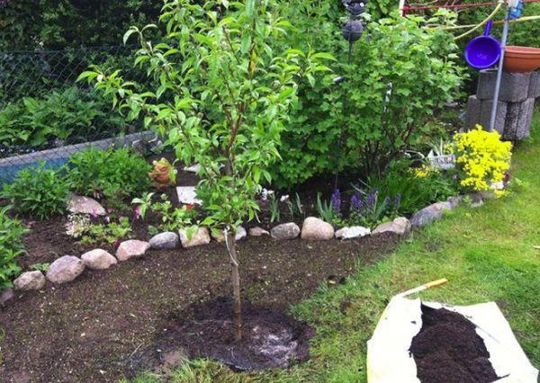 การรดน้ำต้นกล้า