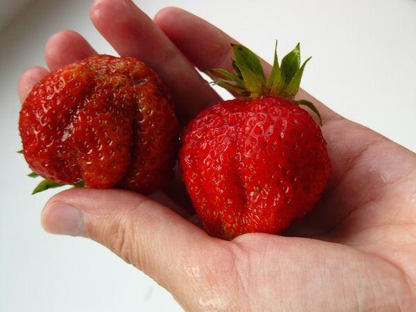 deux fraises