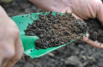 ปุ๋ยสำหรับลูกเกด