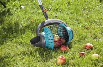 การเก็บแอปเปิ้ล