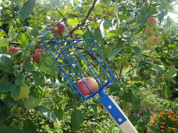 การก่อสร้างลวด