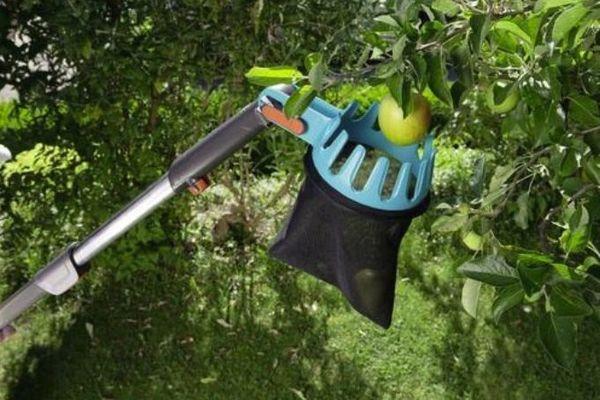 เครื่องเก็บผลไม้พร้อมด้ามจับ