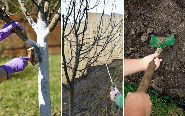 blanchiment et entretien