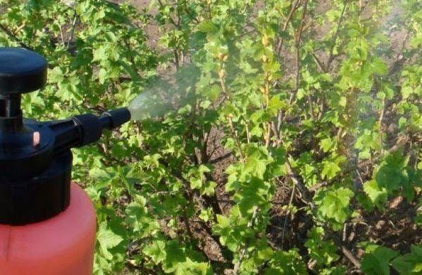 การบำบัดตามฤดูกาล