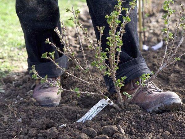 จุดลงจอด