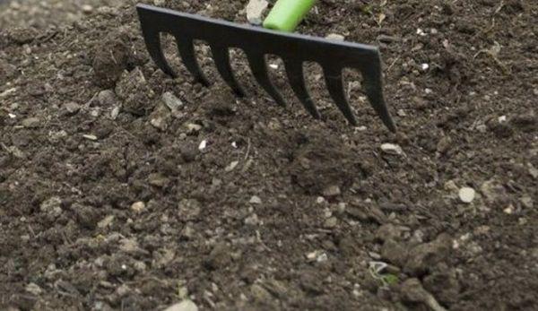 การคลายดิน