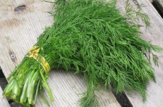 ผักใบเขียวจำนวนหนึ่ง