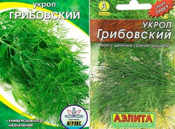 กริโบฟสกี้ ดิลล์