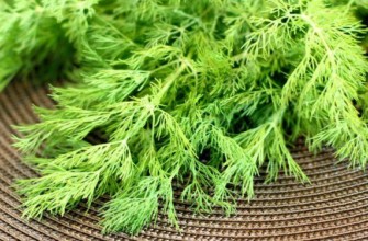 ผลผลิตของคิเบรย์