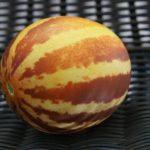 แตงโมลูกเล็ก