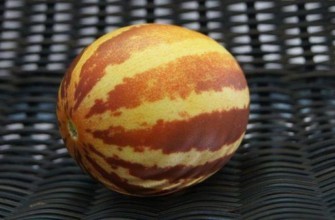 แตงโมลูกเล็ก