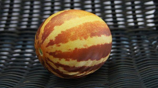 แตงโมลูกเล็ก