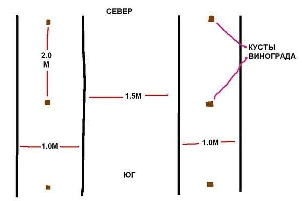 แผนการลงจอด