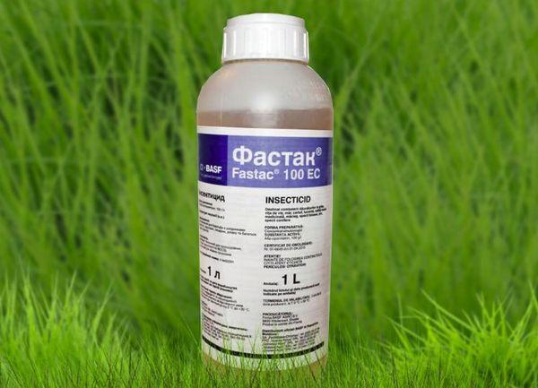 ยาฟาสตัค