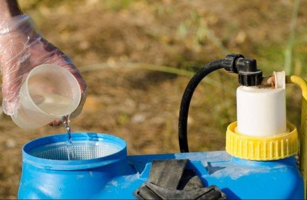 การพ่นป้องกัน