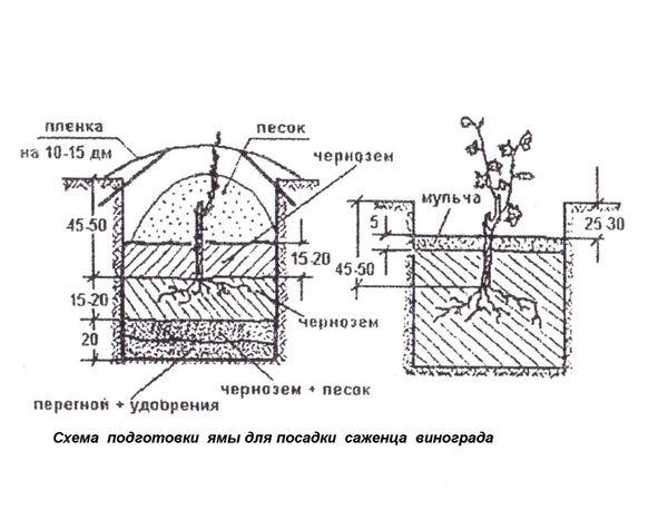 แผนการลงจอด