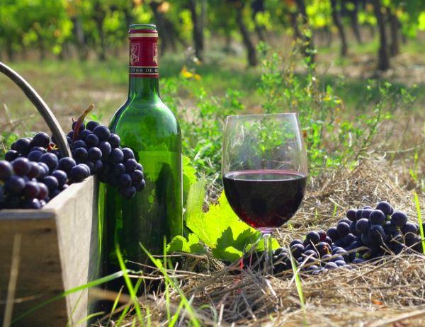 ไวน์แดง