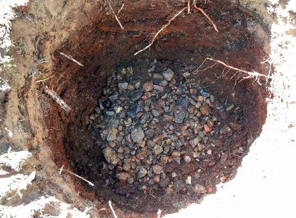 หลุมปลูก