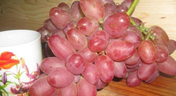 ผลผลิตและการออกผล