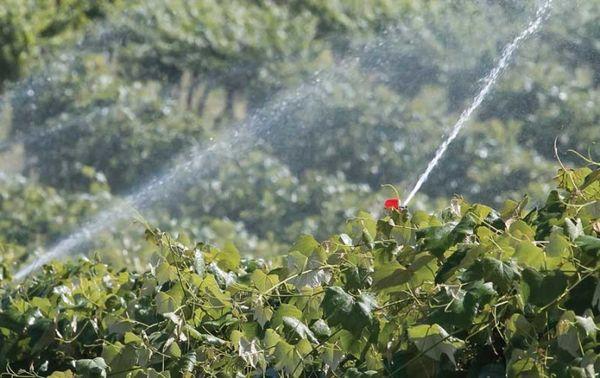 โหมดการรดน้ำ