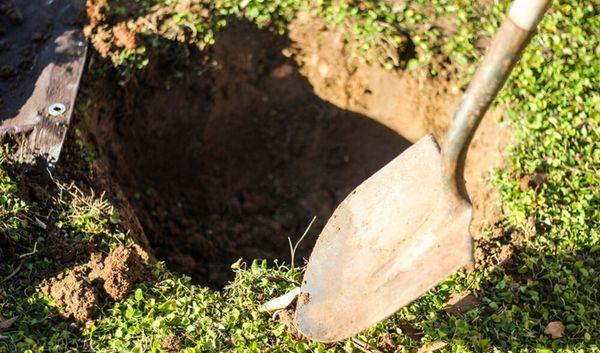 การเตรียมหลุมปลูก