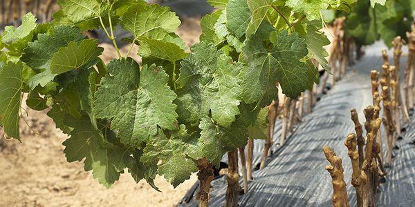 การเตรียมตัวรับมือฤดูหนาว