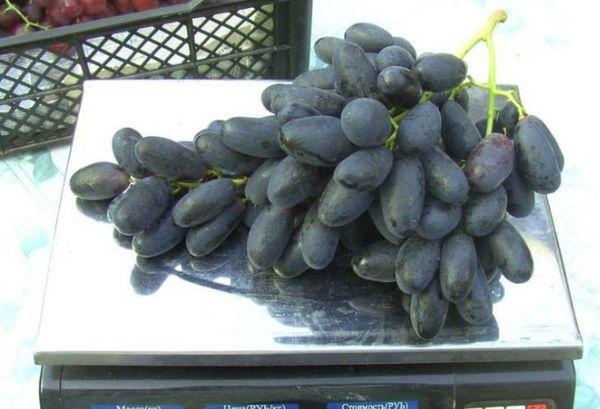 คุณสมบัติของรสชาติ