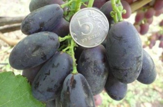 จักรยานหลากหลายประเภท