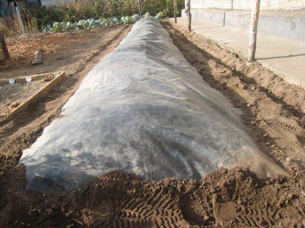 Un abri pour l'hiver